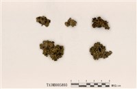 藏品(島衣屬)的圖片